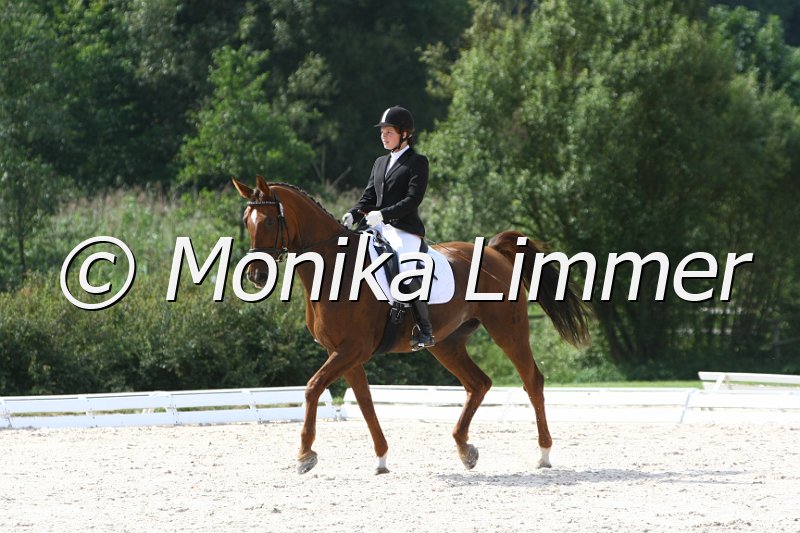 109M9955_Daylight_Dressur L_Finale Franken.JPG